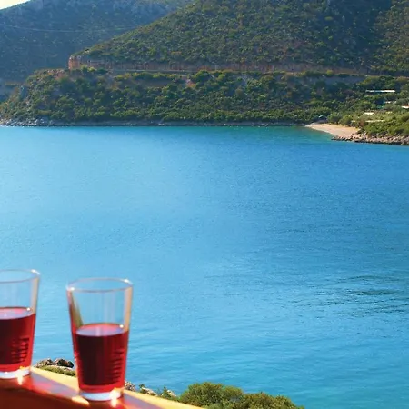 Awesome In Varia Kinouria *